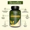 KSM-66 Ashwagandha Capsule - Image 4