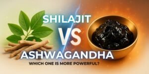 Shilajit vs Ashwagandha Which One Is More Powerful