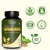 KSM-66 Ashwagandha Capsule - Image 6