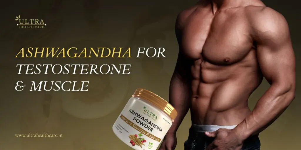 Ashwagandha for Testosterone & Muscle (1)