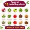 Herbal ingredients in Herbus Onion Hair Oil: onion, bhringraj, amla, brahmi, neem, aloe vera, curry leaves, hibiscus, shikakai, fenugreek, rosemary, henna, ginseng and arjun