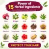 Herbal ingredients in Herbus Onion Hair Oil: onion, bhringraj, amla, brahmi, neem, aloe vera, curry leaves, hibiscus, shikakai, fenugreek, rosemary, henna, ginseng and arjun