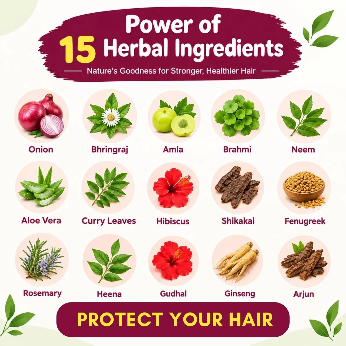 Herbal ingredients in Herbus Onion Hair Oil: onion, bhringraj, amla, brahmi, neem, aloe vera, curry leaves, hibiscus, shikakai, fenugreek, rosemary, henna, ginseng and arjun