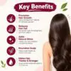 Key benefits of Herbus Onion Hair Oil: nourishes roots, adds natural shine, nourishes the scalp and improves hair texture