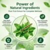 Panch Tulsi Drops made with holy basil tulsi extract, a pure Ayurvedic formulation with no artificial colour and no preservatives